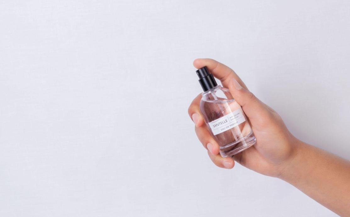 clove leaf oil in perfume