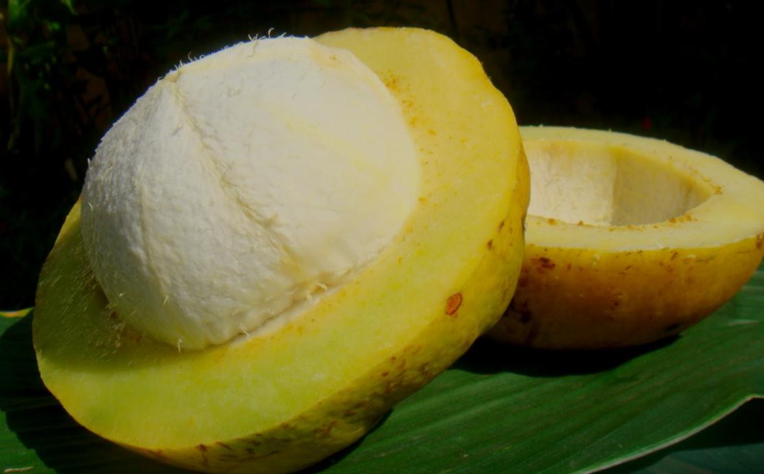 Bacuri butter for hair: 5 benefits