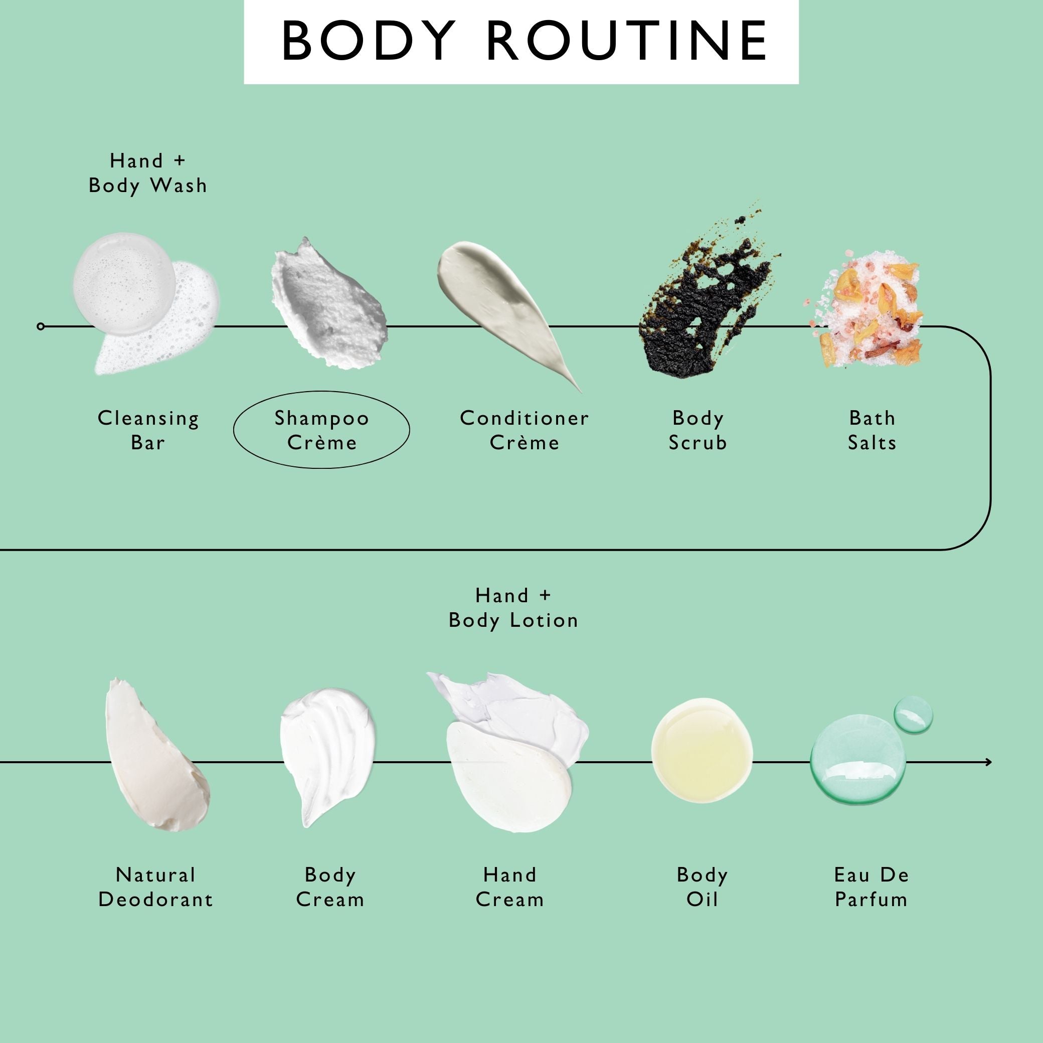 Shampoo Crème with Rosemary Oil + Coconut